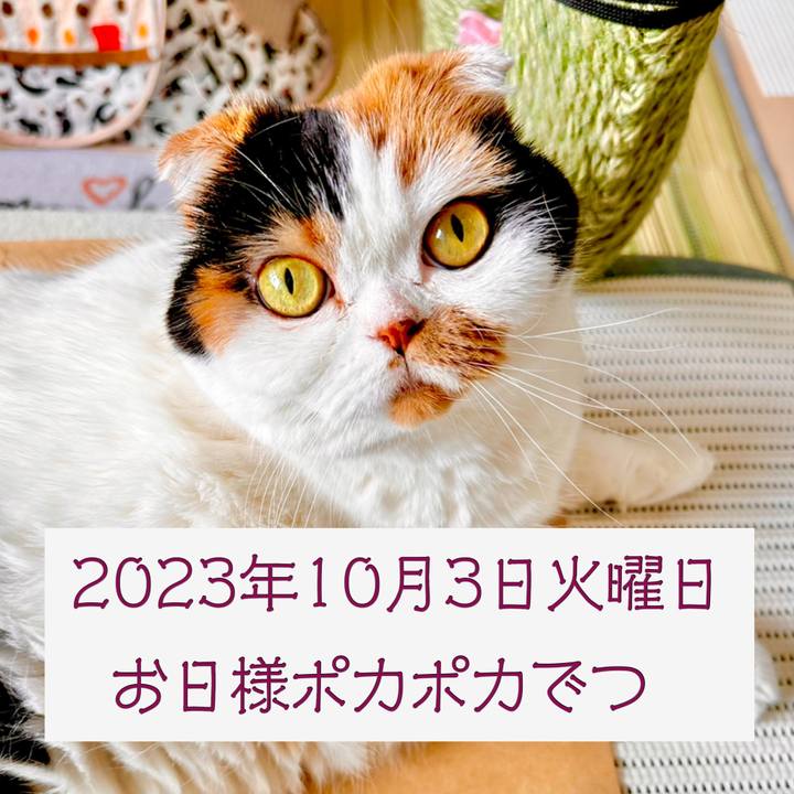 3eec936e fab4 4012 ba71 272071715be4 1696311065237