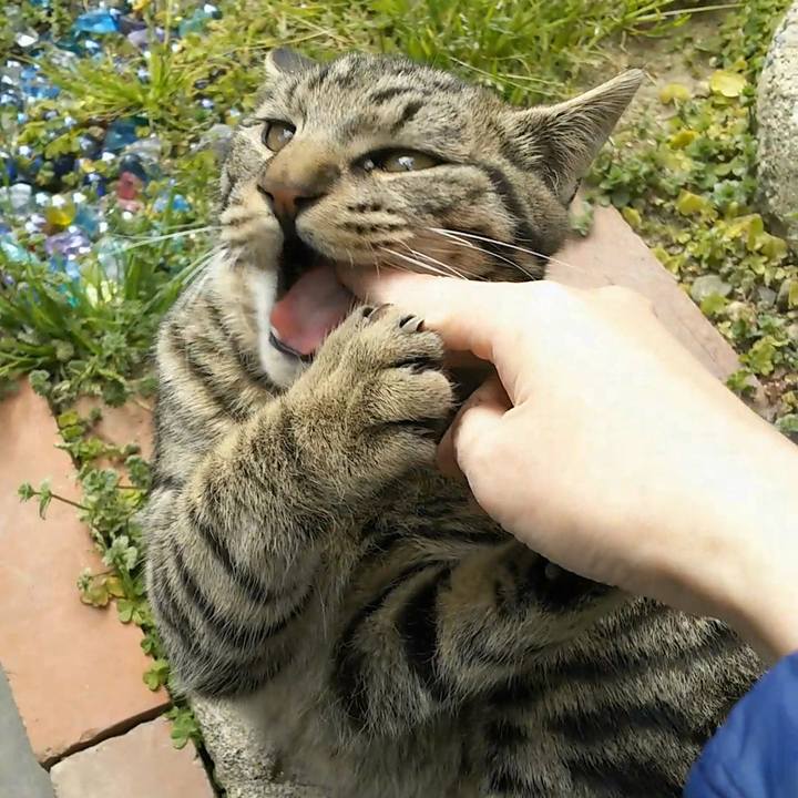 3eeca11f e3b4 4c0c 8f19 41a446205c91 1553403950003