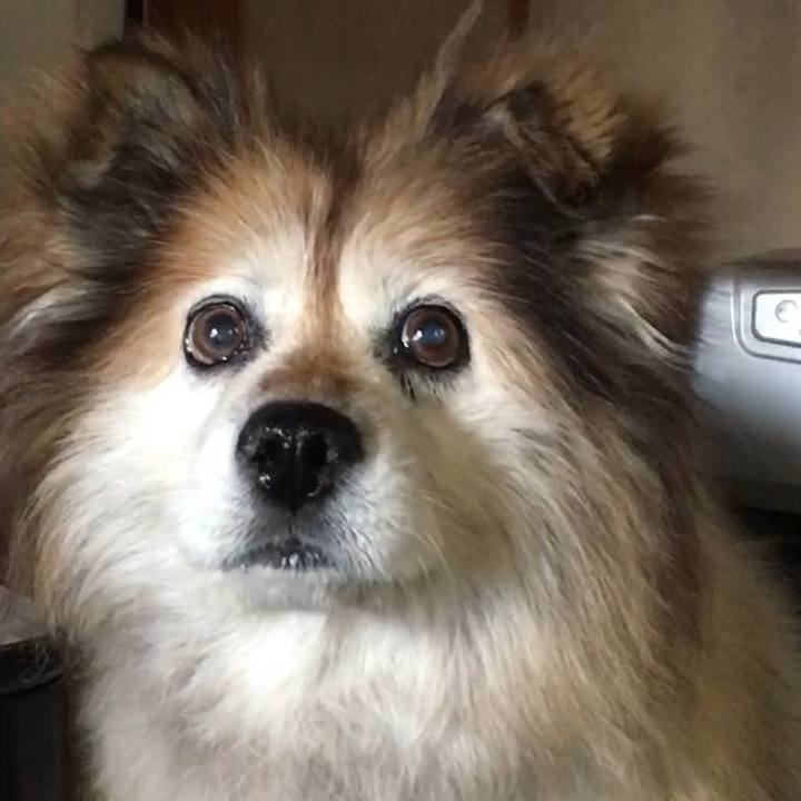 3eeca365 0dcc 4aa5 b5d0 17adf2d7ea79 1568855537679