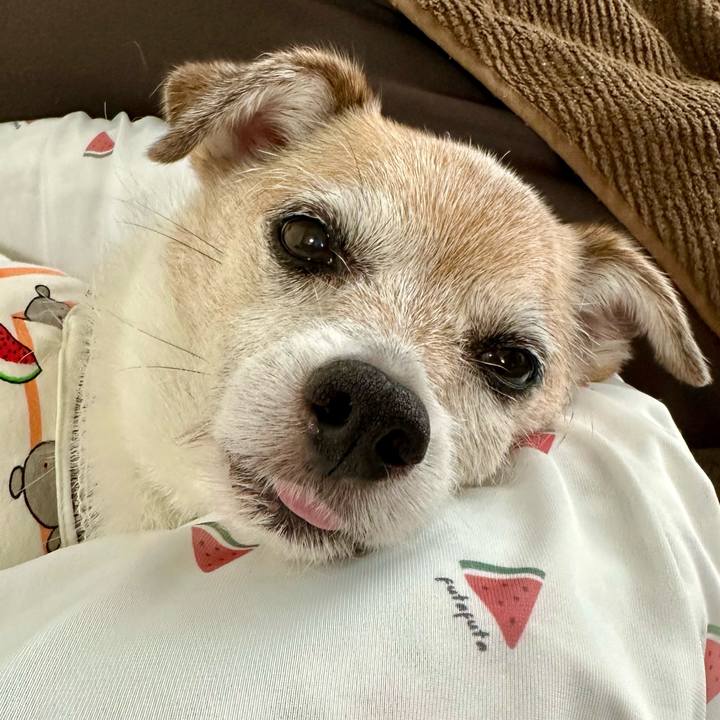 3eecabc4 94a6 445d b14c 8ce84c65a190 1689588307688