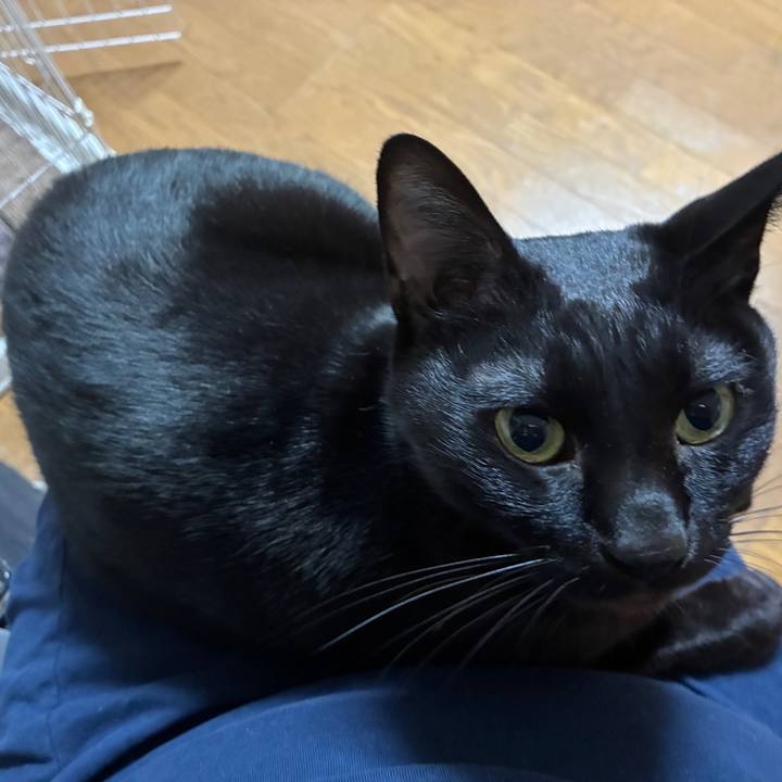 3eecc468 3c19 4b26 aa1e e0948b2b61b7 1761831837794