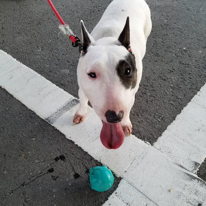 3eeced0b ea92 4961 b4f5 f0235ae651fb 1521173287135