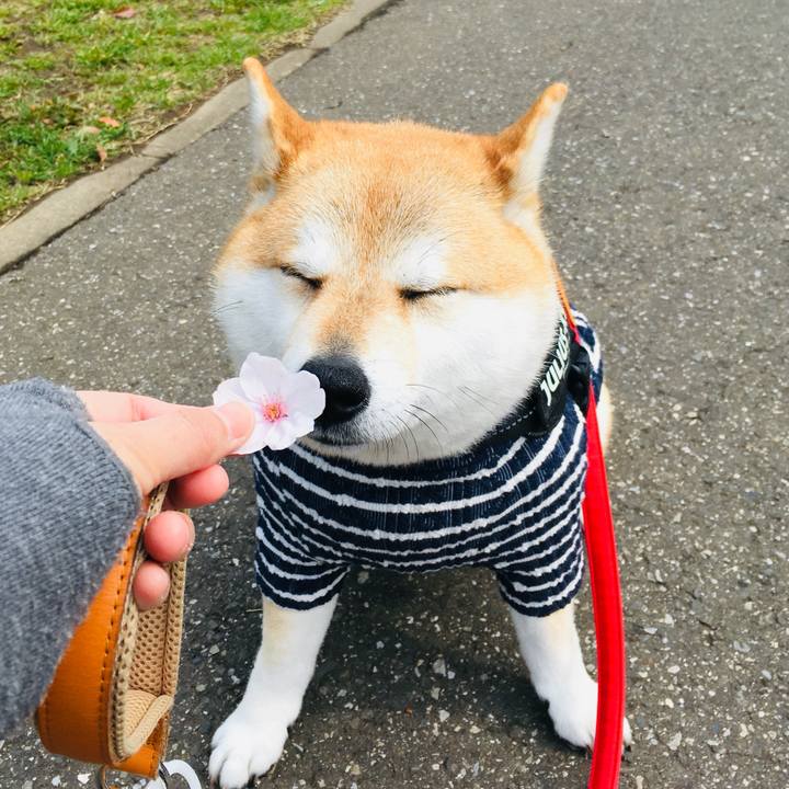 3eecfa85 31a9 4651 be78 1b559924a204 1772791047193