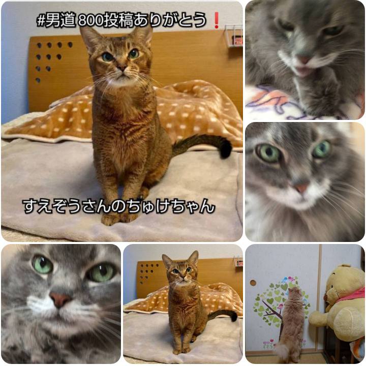 3eecfc3f 19d2 4a8e b965 435f36bb08e2 1558096343812