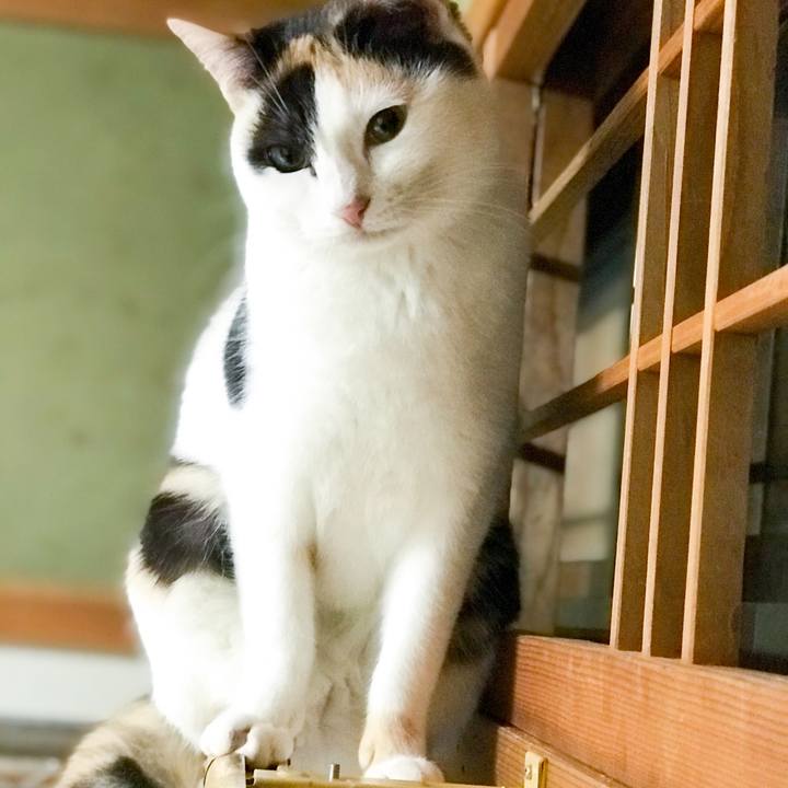 3eed004c 7123 4e96 bcb4 c41bb12039b5 1515681619549