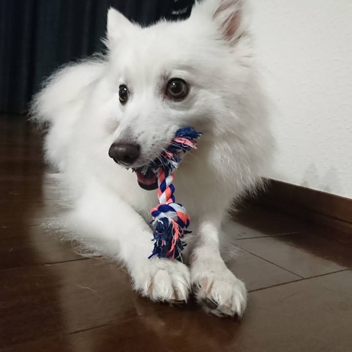 3eed1350 0623 4911 b5fd f47ac480c353 1563102519843