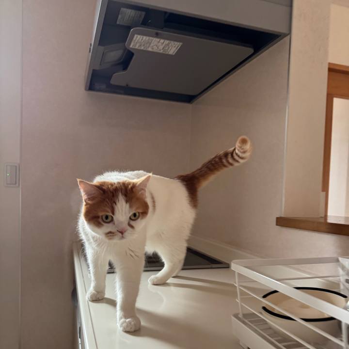 3eed57c1 fc96 47df a861 7479a0c1fde5 1775443596252