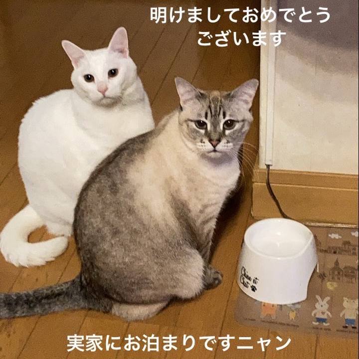 3eed858b 6508 47d9 940f e2247d64f8cb 1735662248531