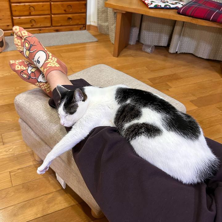 3eed93d3 7868 4ba7 b59b 1ef92328c551 1743256029260