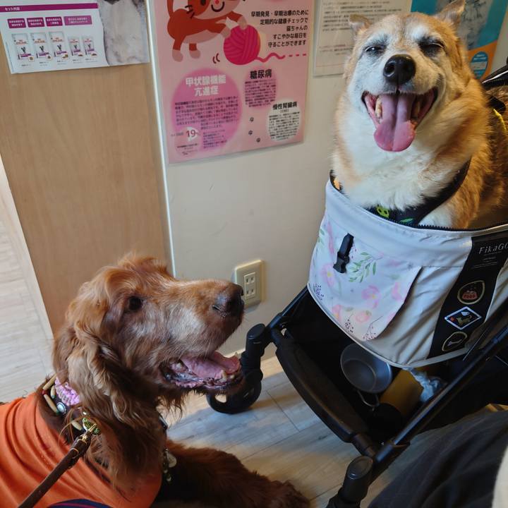 3eedb8f1 5d5e 4c2d 9a1c 9877165782c0 1653785149310