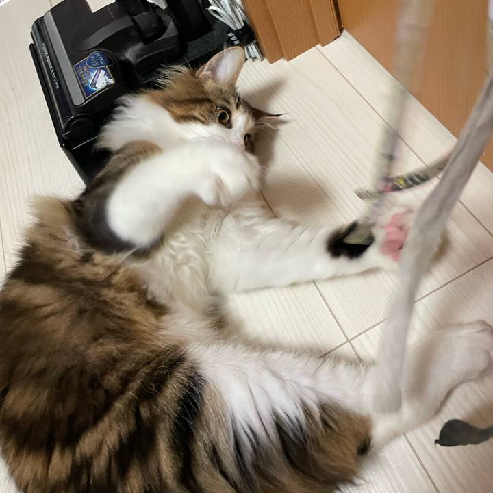 3eedbca5 5837 49a2 8b05 715cd51373ed 1639256302866