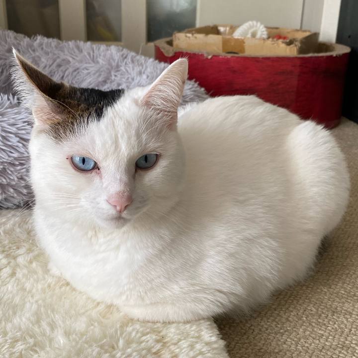 3eee49c9 81bb 4263 ac9e 3e3f5c589044 1671319277315