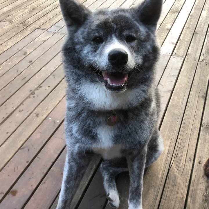 3eee5b72 8220 4a0e b462 b4223767eb83 1591090894607