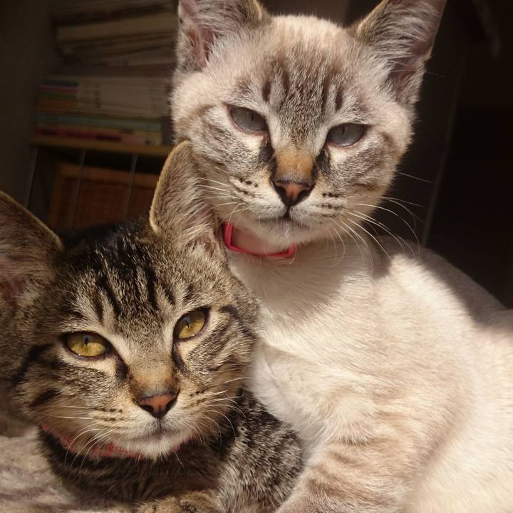 3eeea580 834b 44cb 9907 8ade338410cb 1517452421210