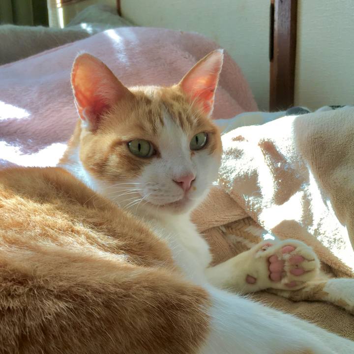 3eeeafd4 cd9a 4f5e b8a1 a5c155970194 1571294792194