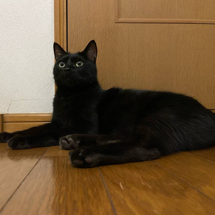 3eeeb506 7afe 49fa 8a0b 5239caf7f714 1659443492477