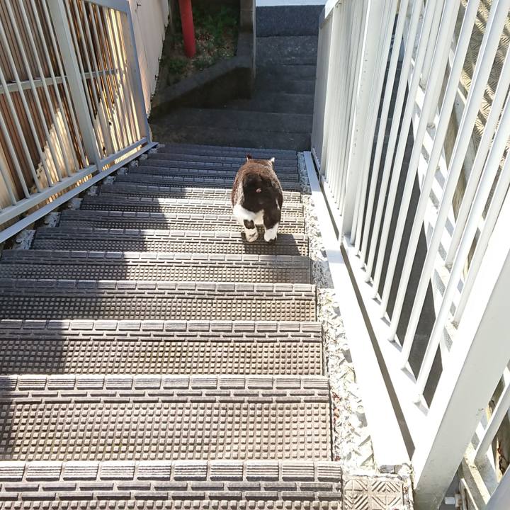 3eeeb7e0 f1c4 49f3 a33d 721eaad44af9 1597117592088