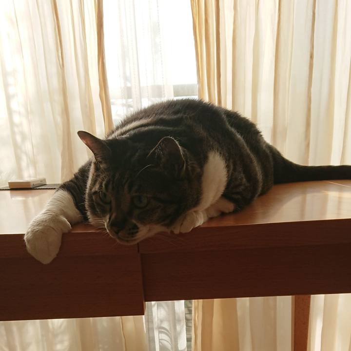 3eeec5d4 8094 4e93 911d 3550dc088901 1530396419519