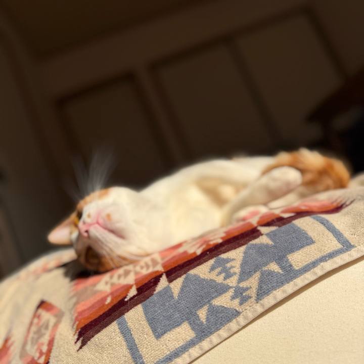 3eeee73c 8dac 4f9f 9c07 abda10d52e08 1771983734042