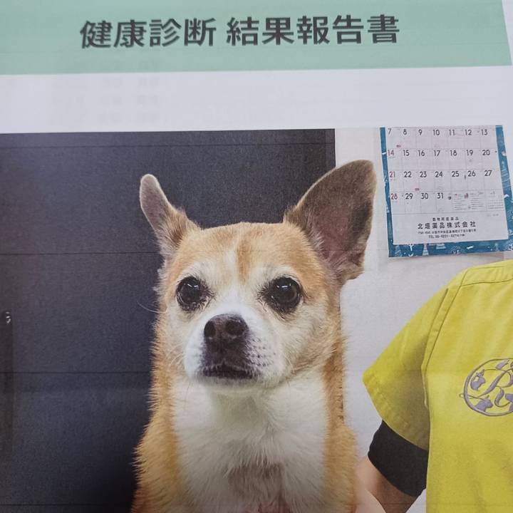 3eef0ee7 4a6e 44ca a66b 3e3e3cab1791 1764544712678