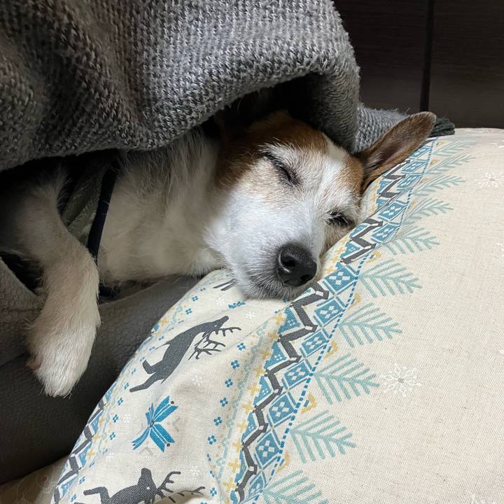 3eef103d 352f 4cd4 89b7 8aea5abd512e 1683072747575