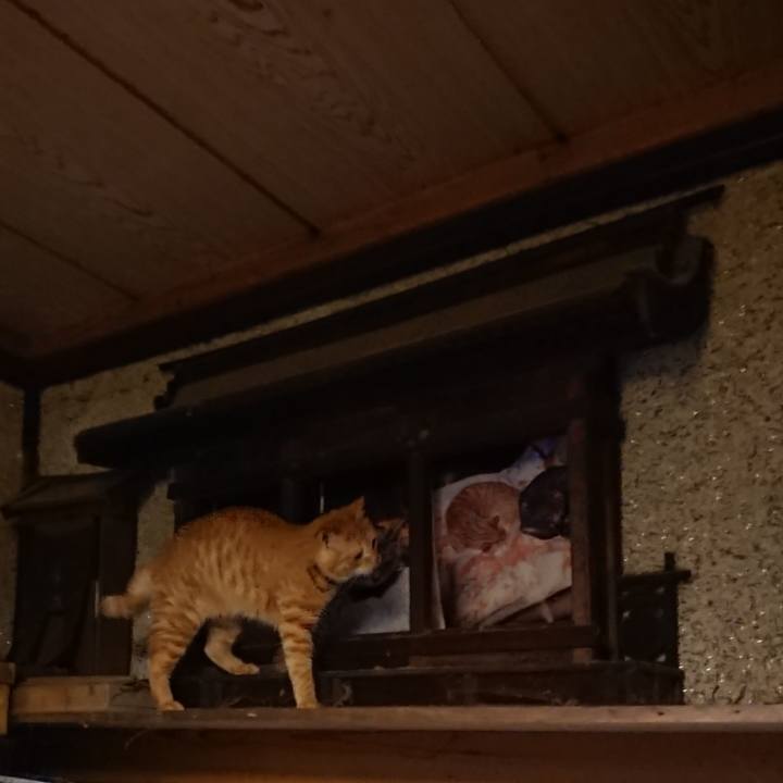 3eef1c52 f5c3 4713 8f78 261e6628da4b 1641815045026