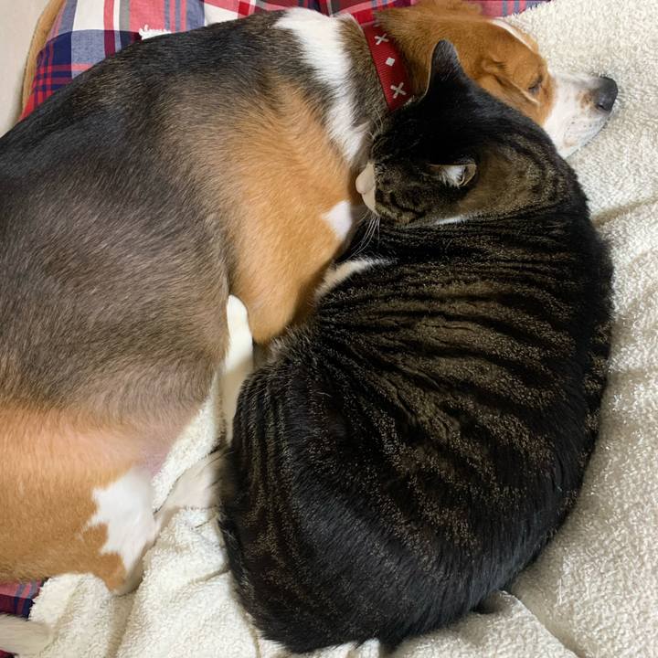 3eef1e77 1c51 402d a7b2 4cdb452d5345 1642819391528