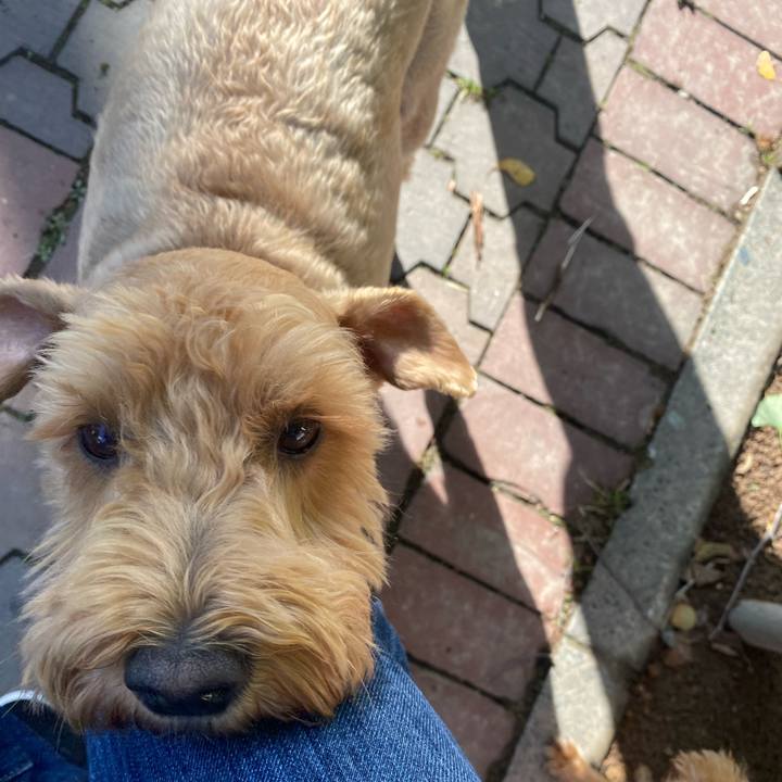 3eef1f20 9441 4b35 9286 f3c234876df7 1696724773602