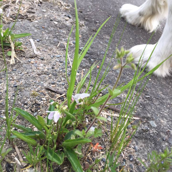 3eef31cd 7e6f 4e1f a3ca 8d5ca2a957d9 1553816179607