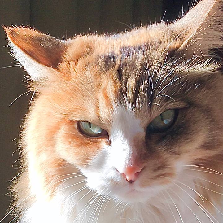 3eef36fb 912f 4dd4 b7ed bd5d2327bce8 1609409358369