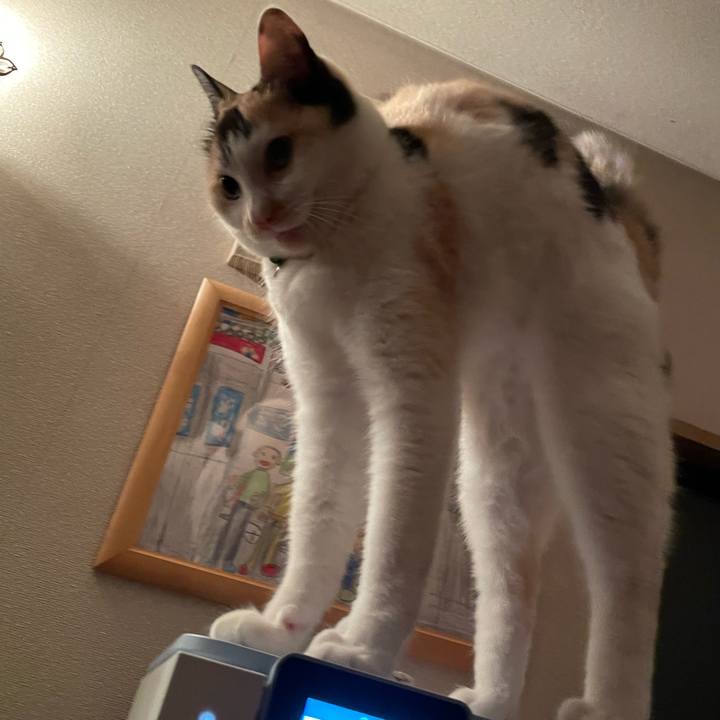 3eef5c5e c762 4cc6 b94a 5a0a42874281 1719499179627