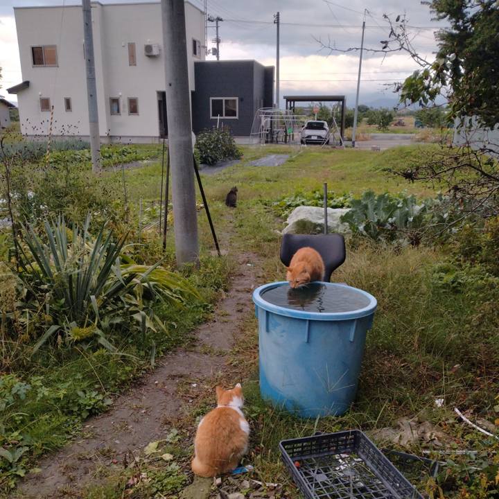 3eef6995 5abc 4330 ac28 cb6b401d92de 1760257424273