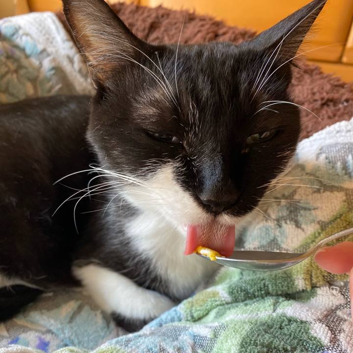 3eef6d72 e623 425d a911 717909115add 1606381744791