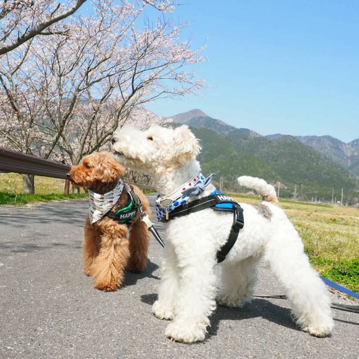 3eef7ae5 8127 40ee 96ae 6ed6436abc6f 1522488156224