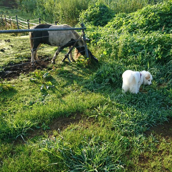 3eef849d 0faa 4c3b be58 d39679d53018 1534194874616