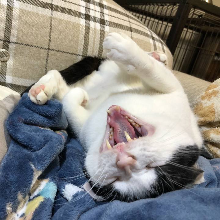 3eefae5b 26ec 444c 8639 63981b9e9da5 1620705673733