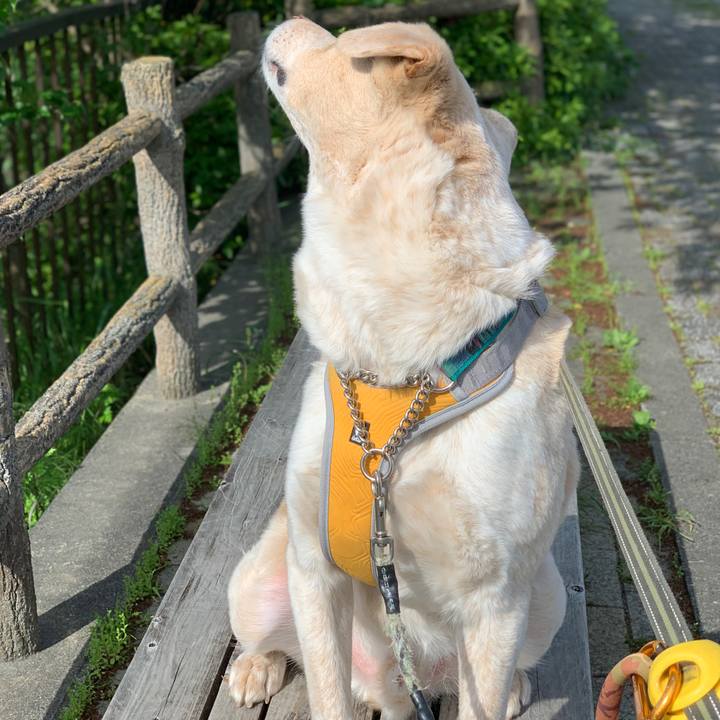 3eefc834 c942 493c bb78 31c224138e99 1556849984281