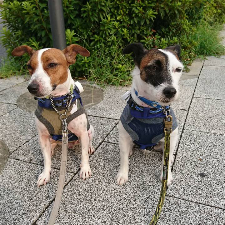 3eefed7e 7c54 4170 a701 79f059bc947a 1566769726711