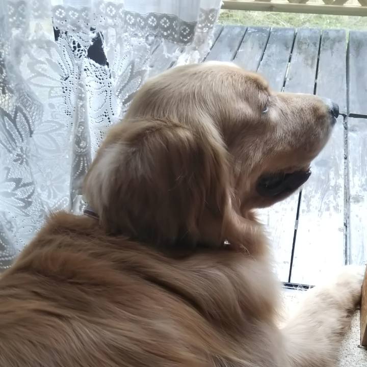 3ef00431 4a6f 47de b279 dbcdd19c93a1 1530801619755