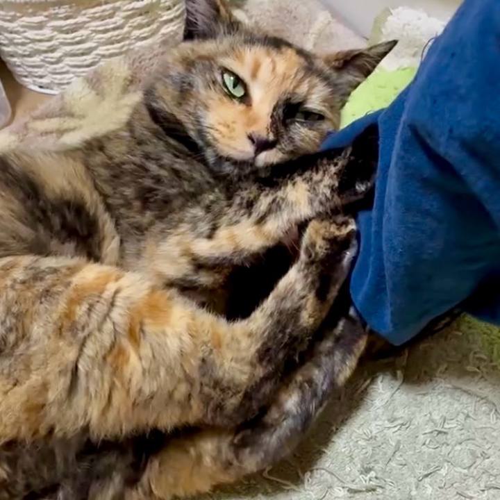 3ef030ef 2e7e 4ff2 a1a8 b41e1d4c86e8 1748944445123