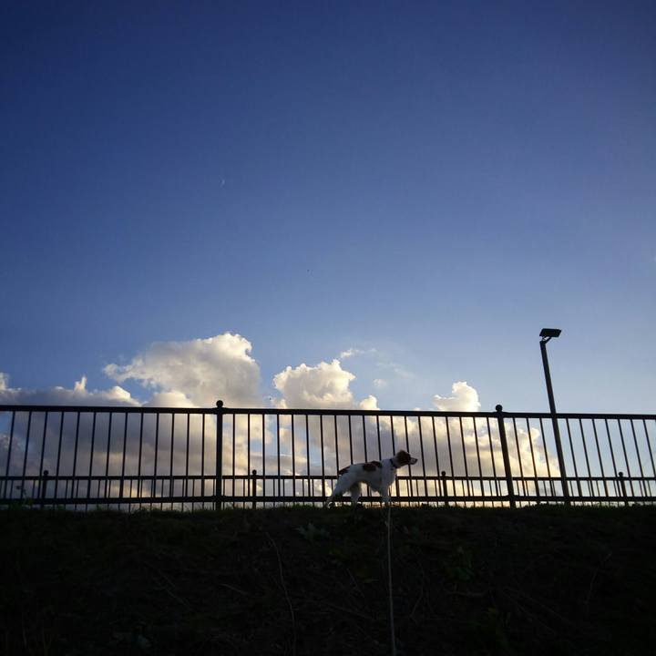 3ef045d9 849f 454c a0f1 ae214ddf7e19 1511511335563