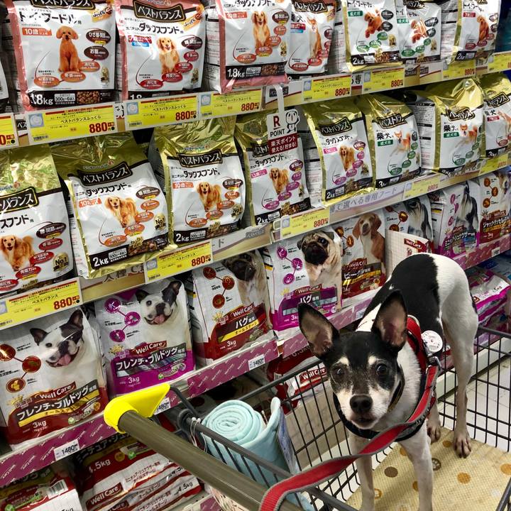 3ef05172 38db 4d20 a7f9 4fd946e4762b 1563583164450