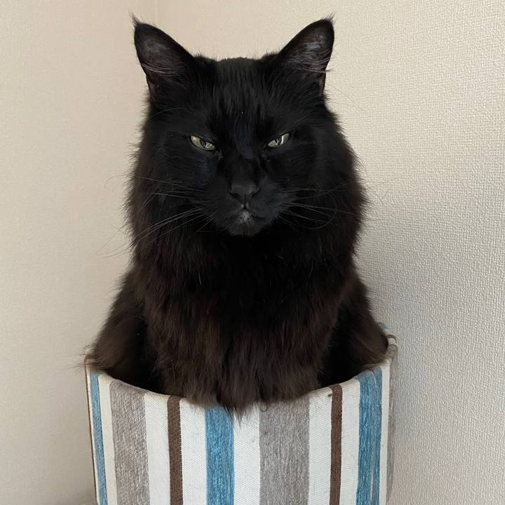 3ef0760c 294d 48ad 9c41 79d3143d6fc8 1615851580791