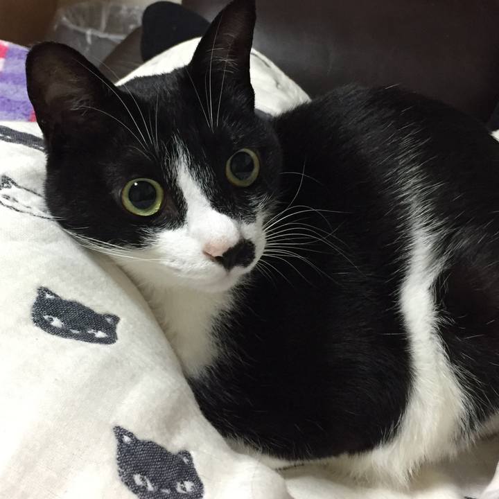 3ef09f51 6699 497b bd41 57d993029602 1529076028275