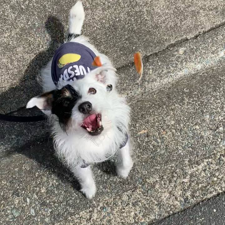 3ef0a454 675a 411a 9b4d 75b9242e7a6a 1685579574471