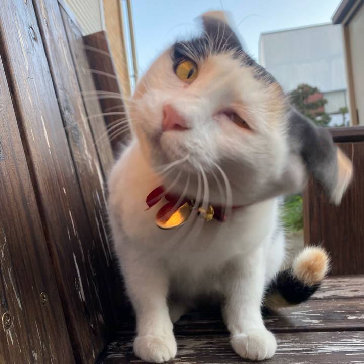 3ef0c47c fab3 412b b539 a2a717dec3f5 1638683010519