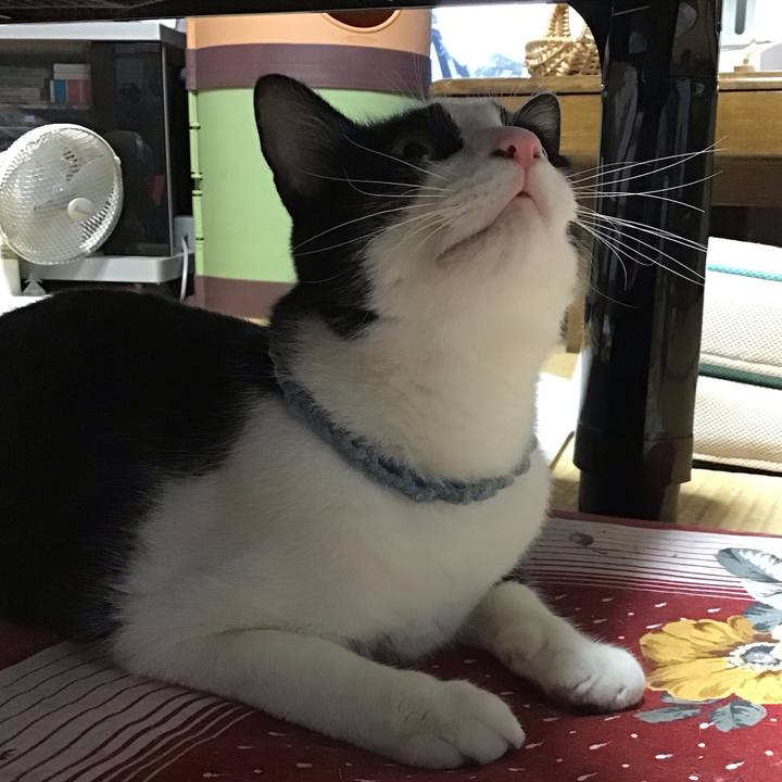 3ef0d008 6221 408d 8477 ee3c90df26c4 1662373949630