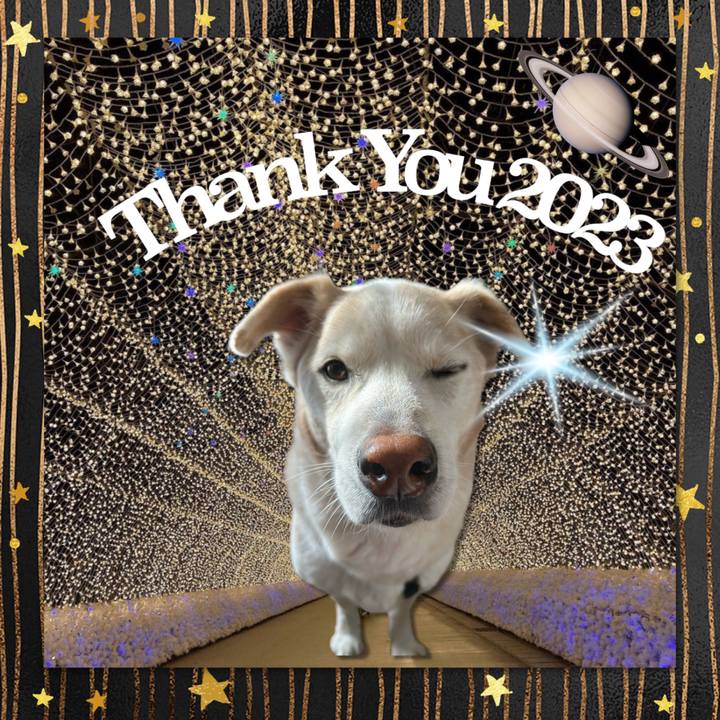 3ef10628 de01 4d5f a35b 0f79d1881dee 1703990841137