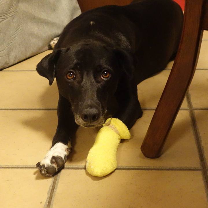 3ef1136a 3409 48cf b3bd bd57c1d14e93 1624063580107