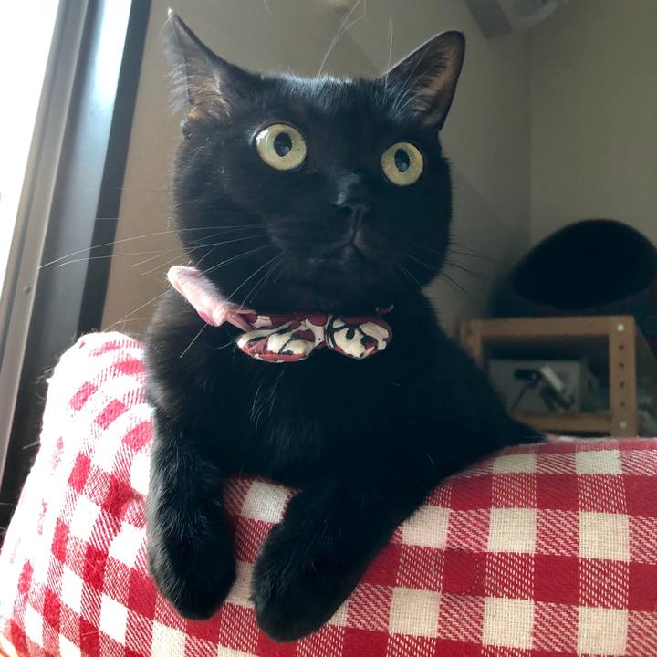 3ef122de 81a3 4762 954a ff37c41b728a 1577418002872